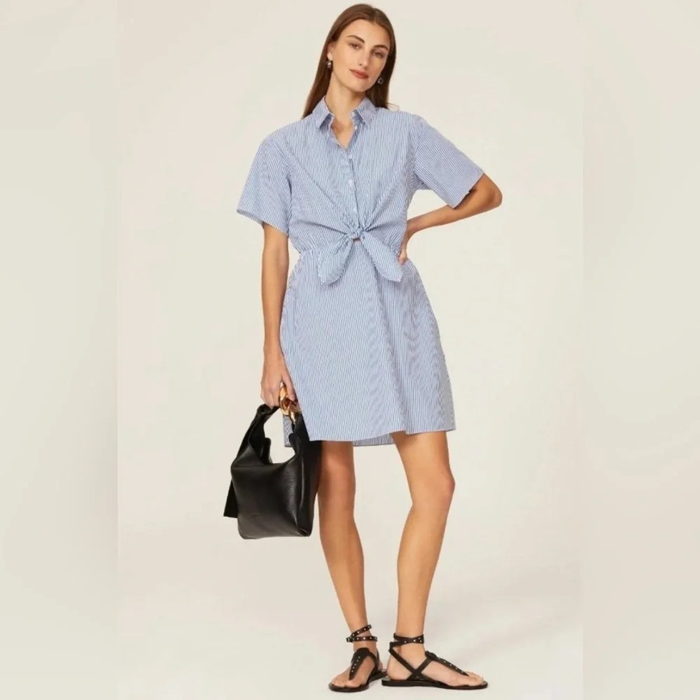 Thakoon- 100% cotton Blue Striped Tie Dress Size 10